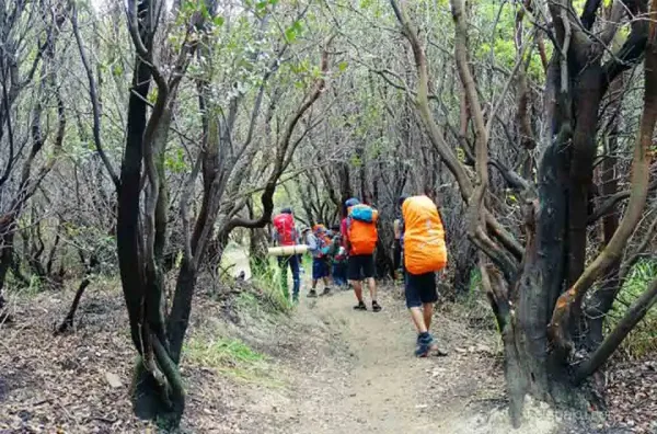 Harga tiket wisata Gunung Papandayan