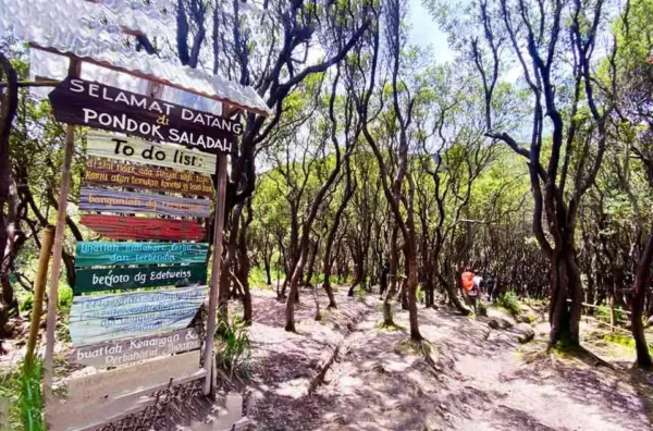 peta jalur pendakian gunung papandayan