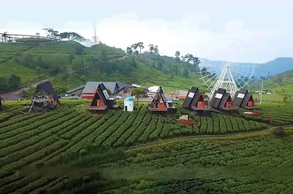 Tempat glamping keluarga Pangalengan