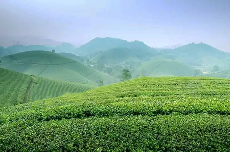 harga tiket kebun teh Pangalengan