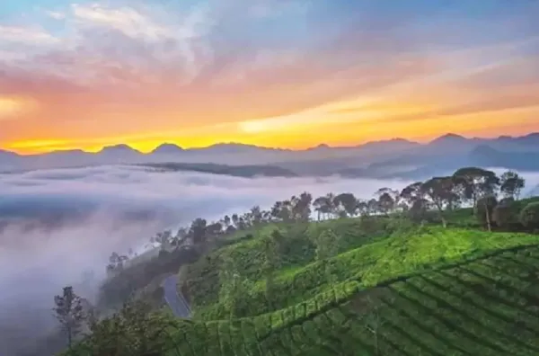 Camping Ground kebun teh Pangalengan