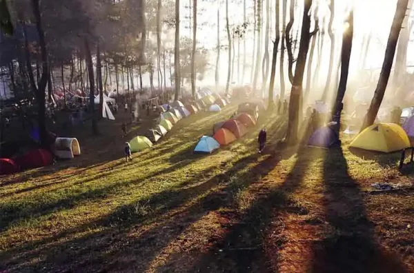 Glamping Pangalengan Instagramable