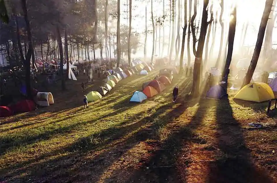 Glamping Pangalengan Instagramable