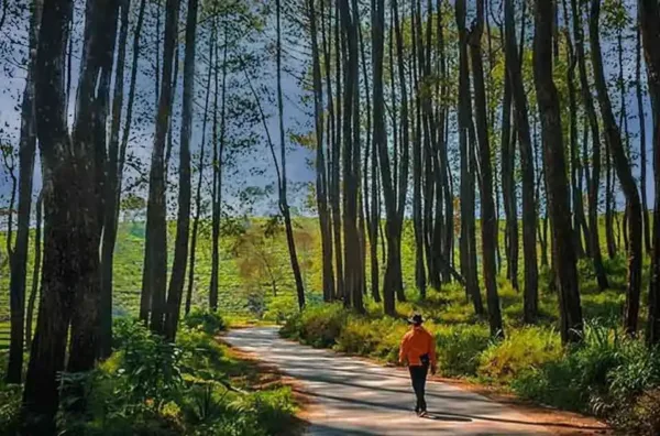 Wahana Pangalengan keluarga