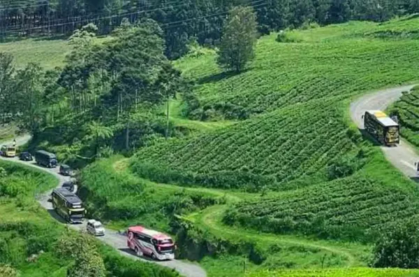 Itinerary Pangalengan untuk rombongan