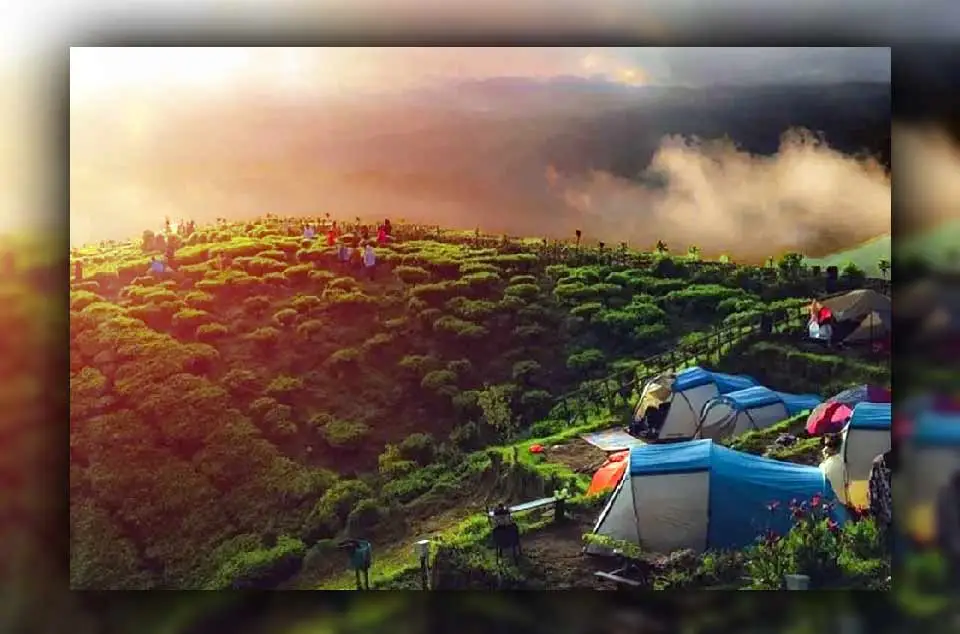 Penjelajahan ke Kebun Teh Pangalengan