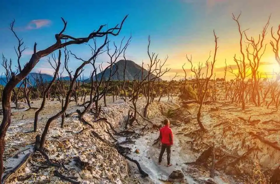 Tips foto di Hutan Mati Papandayan