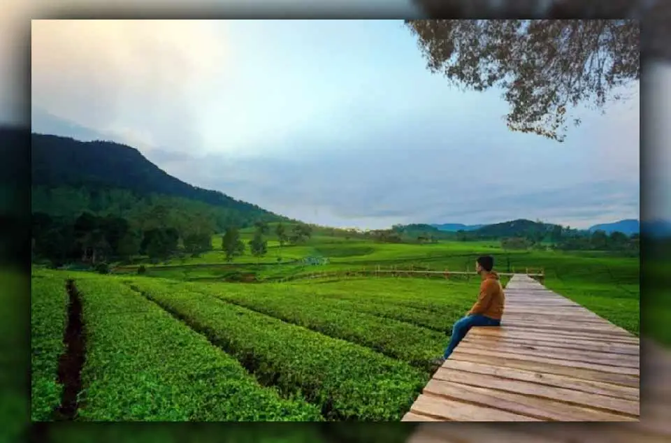 Alasan liburan ke pangalengan