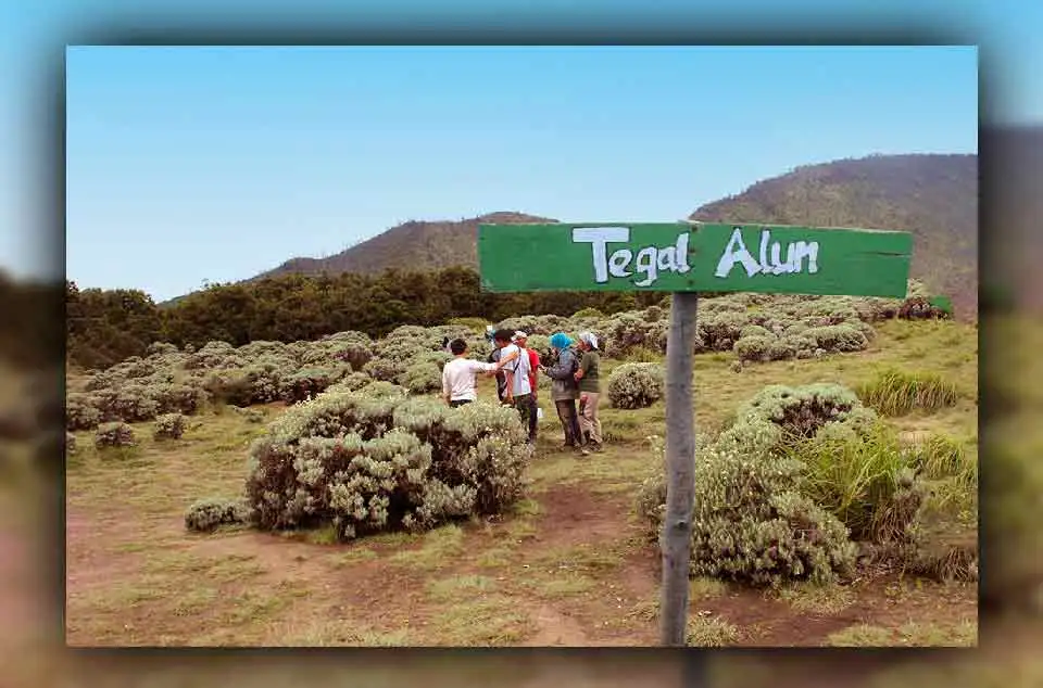 Cara Menuju Tegal Alun Papandayan