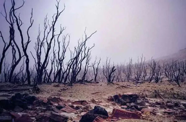 Jalur pendakian Papandayan Hutan Mati