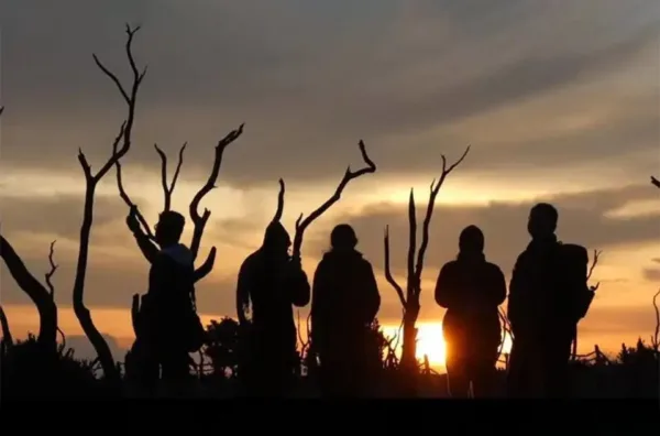 Spot foto terbaik di Gunung Papandayan