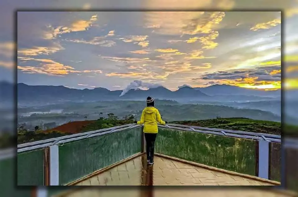 Aktivitas Seru di Kebun Teh Pangalengan