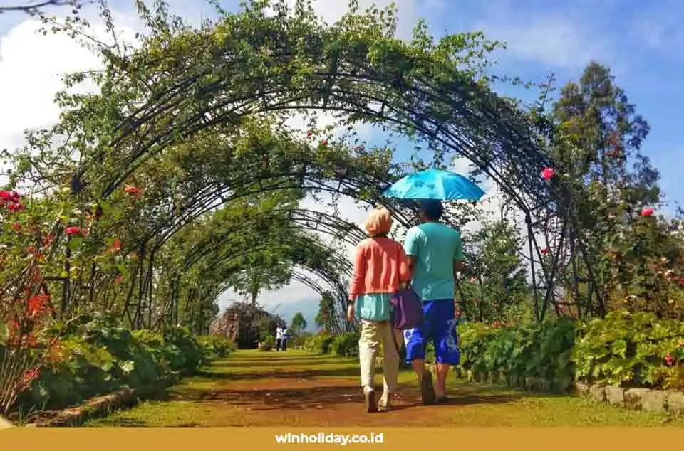 Kebun Mawar Situhapa