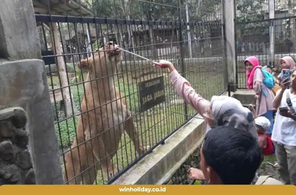 Taman Satwa Cikembulan