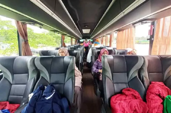 sewa bus pariwisata panoramic roof Bogor