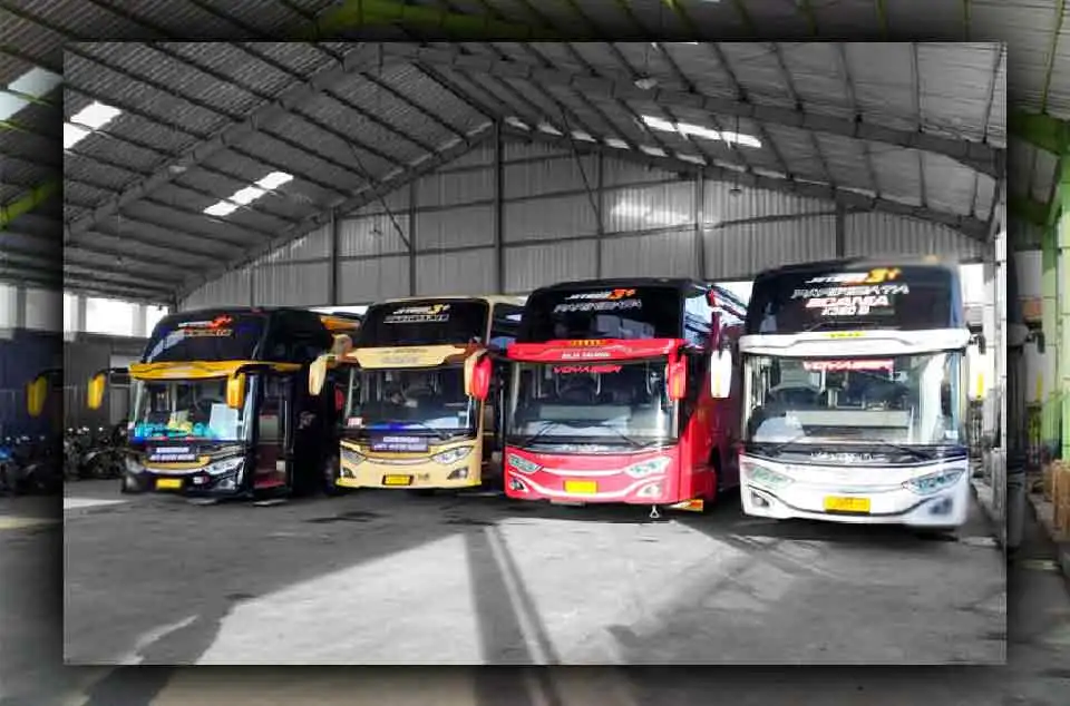 Daya Tarik dan Makna Livery Bus Pariwisata
