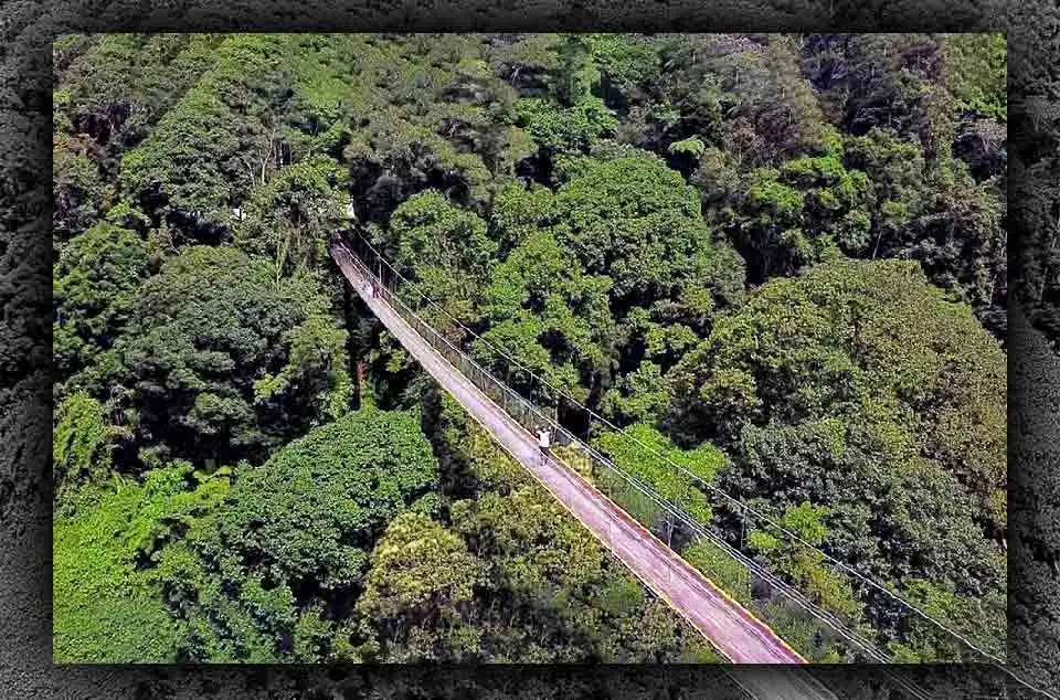 Spot Foto Terbaik Jembatan Gantung Situ Gunung