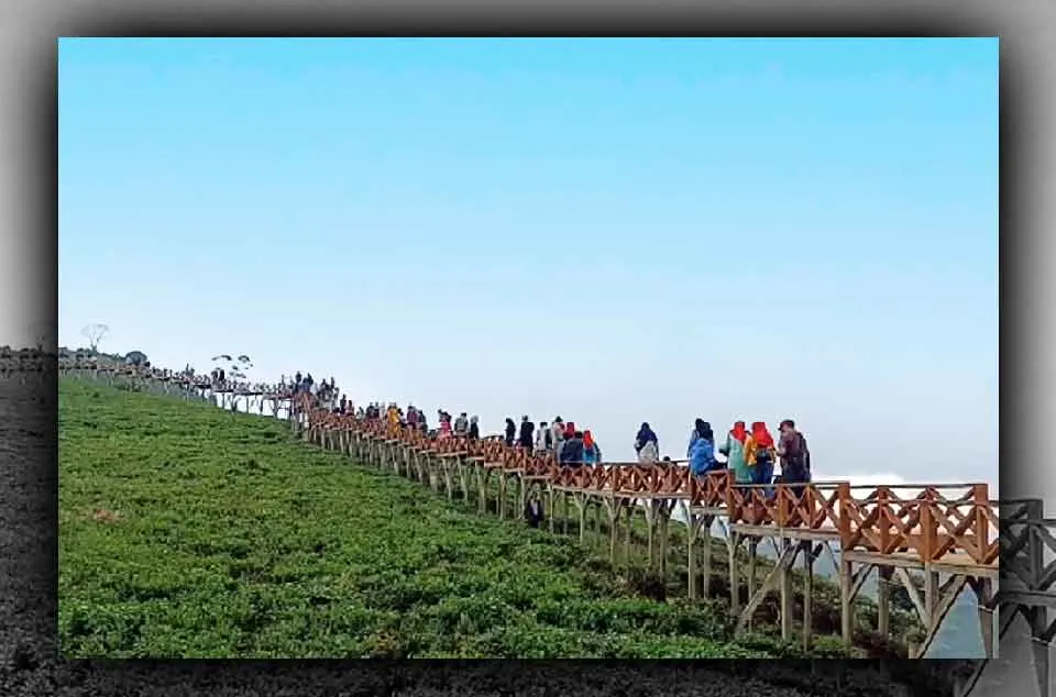 Tema Outing Kantor Perkebunan Teh Pangalengan