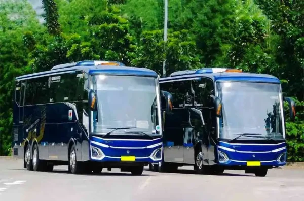 perbedaan bus Scania vs Mercedes-Benz