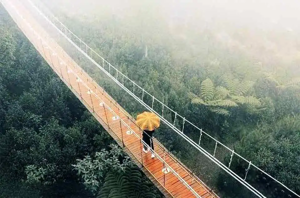 spot foto terbaik di Jembatan Gantung Situ Gunung