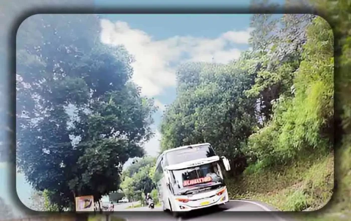 Fungsi Desain Eksterior Bus Modern di Rute Tanjakan Bogor