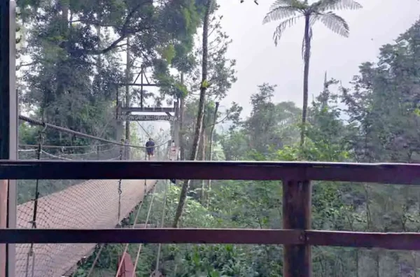 Material kayu ulin Situ Gunung