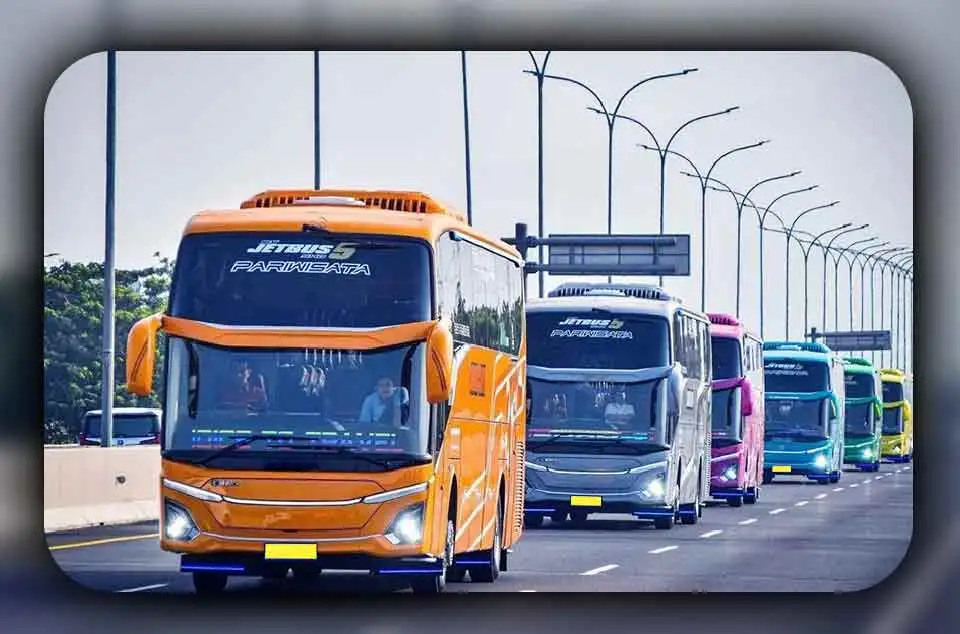 Panduan Membedakan Type Bus Pariwisata