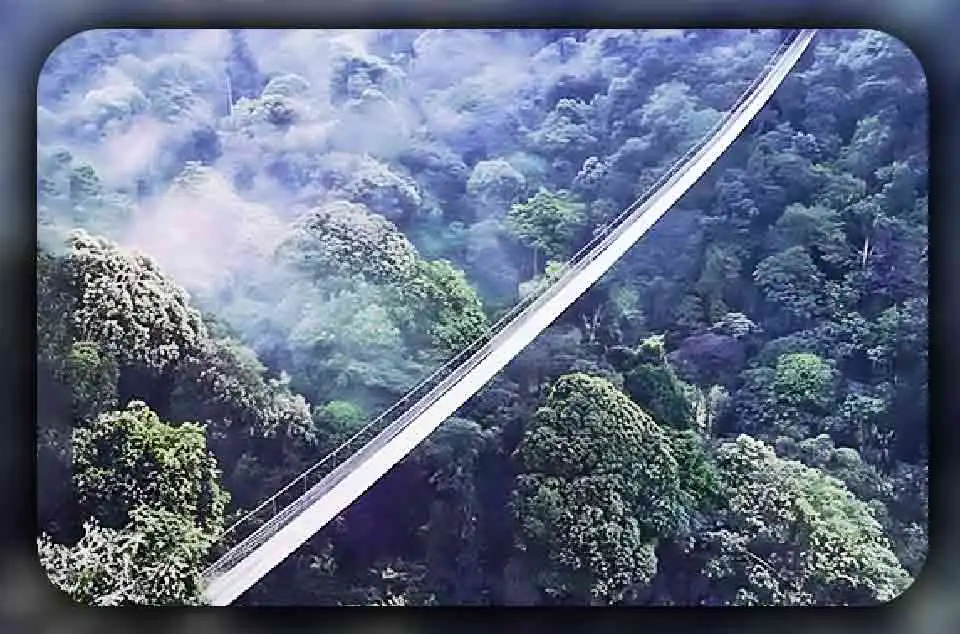 Perbedaan Jembatan Gantung di Situ Gunung dan Jembatan Gantung Biasa