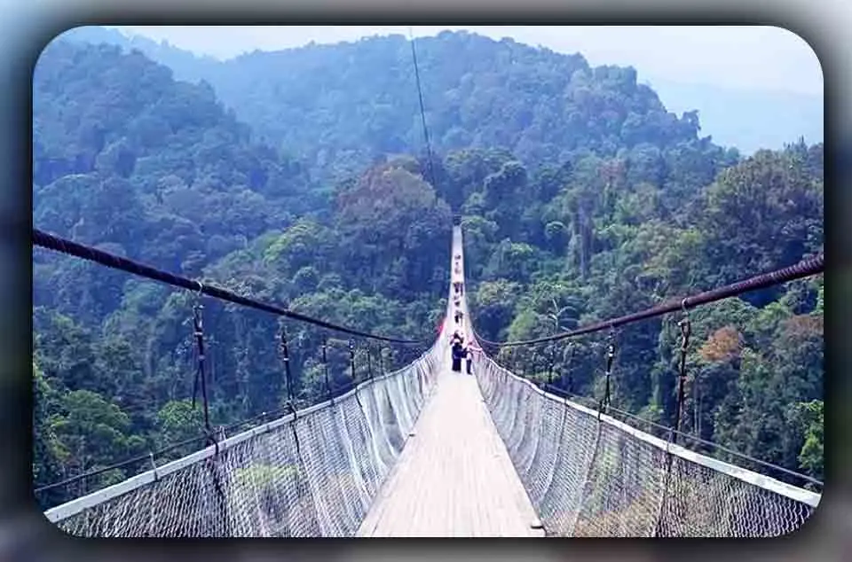 Review Lengkap Wisata Situ Gunung Jembatan Gantung
