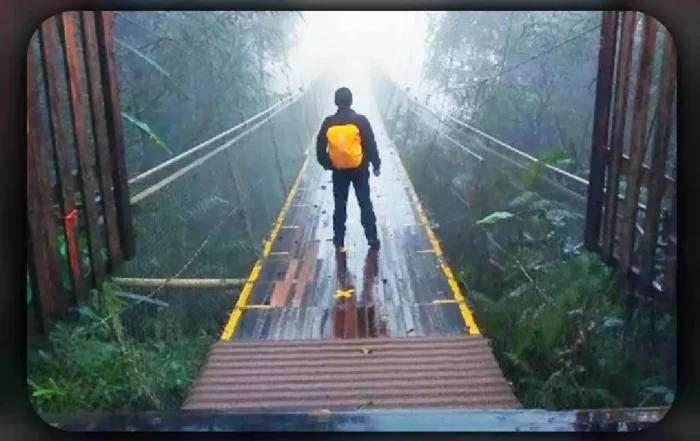 Wisata Alam di Sekitar Jembatan Gantung Situ Gunung
