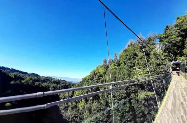 asal kayu ulin jembatan Situ Gunung