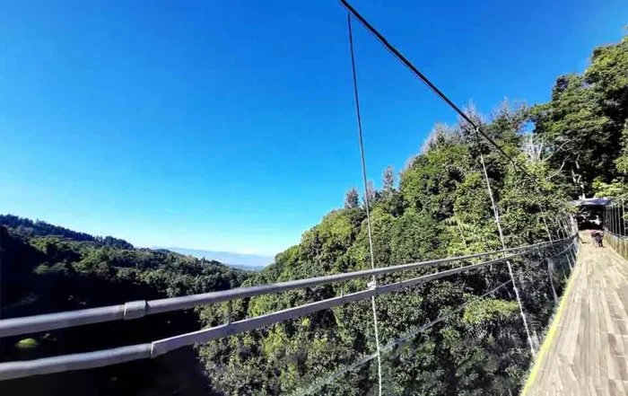 asal kayu ulin jembatan Situ Gunung