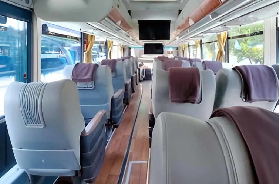 bus medium eksekutif konfigurasi 2-1