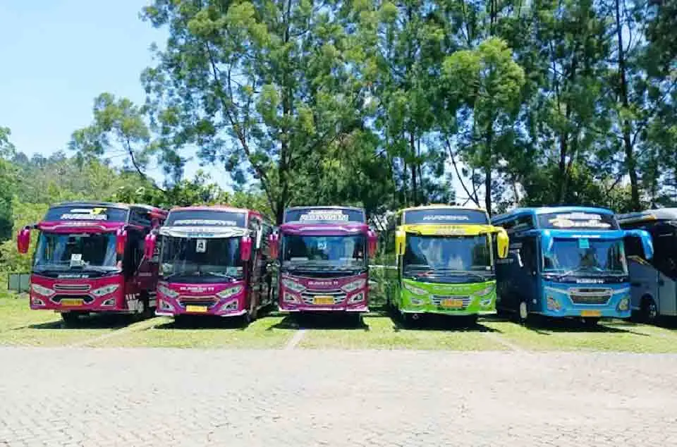 kapasitas kursi bus medium pariwisata
