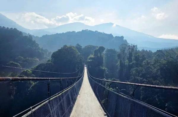 panjang jembatan Situ Gunung Suspension Bridge