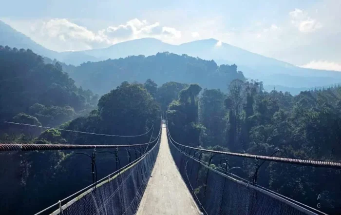 panjang jembatan Situ Gunung Suspension Bridge