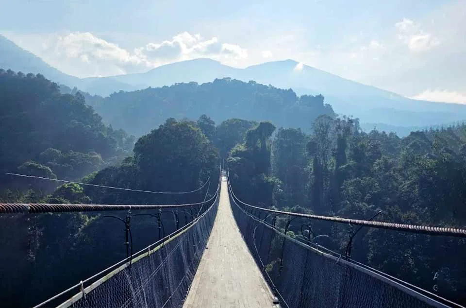panjang jembatan Situ Gunung Suspension Bridge