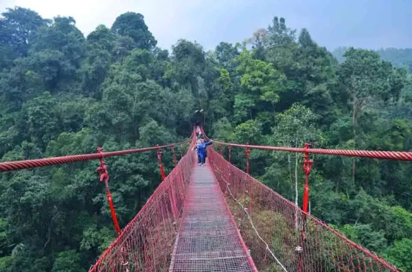 standar keamanan jembatan gantung internasional