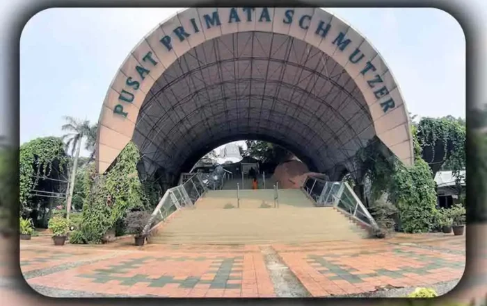 Aktivitas Seru di Kebun Binatang Ragunan