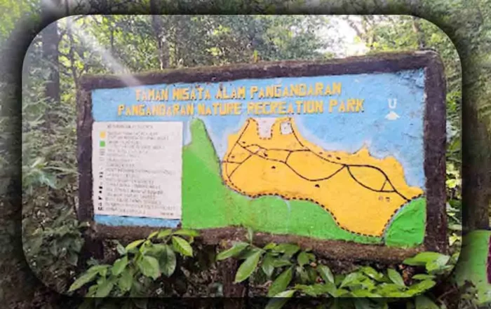 Aktivitas Wisata di Cagar Alam Pangandaran
