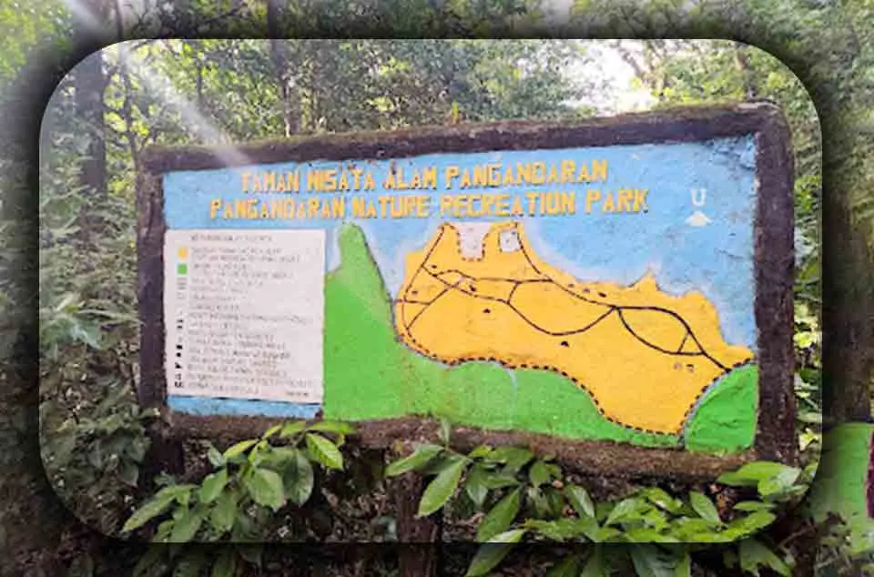 Aktivitas Wisata di Cagar Alam Pangandaran
