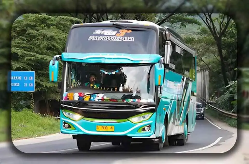 Livery Bus dan Keunikan Desain adalah Cermin Wisata Rute Bogor