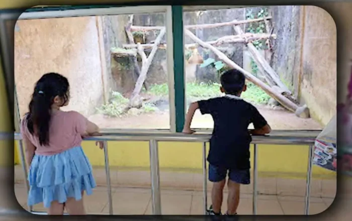 Manfaat wisata edukasi ke Ragunan untuk anak