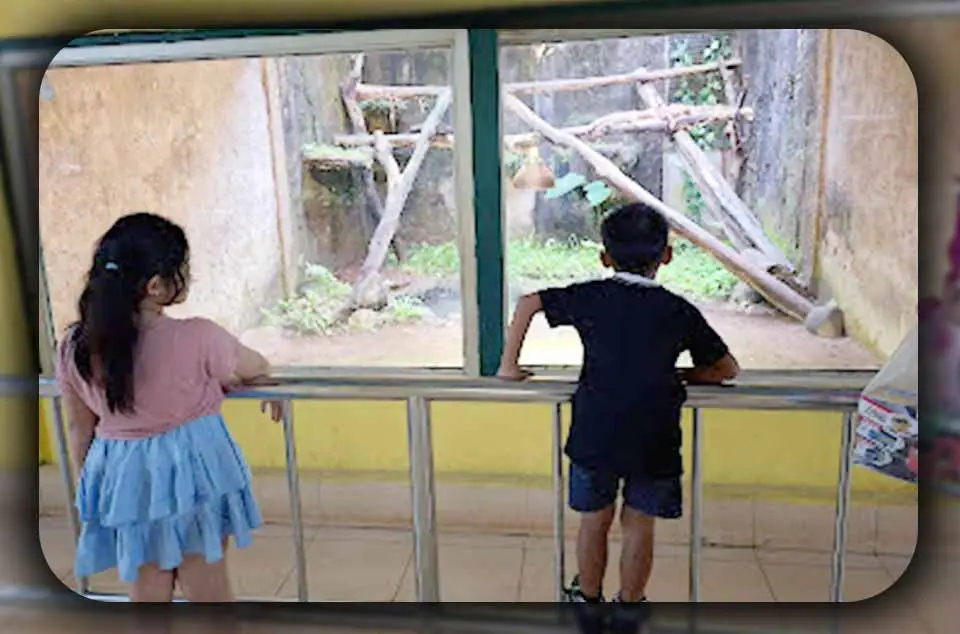 Manfaat wisata edukasi ke Ragunan untuk anak