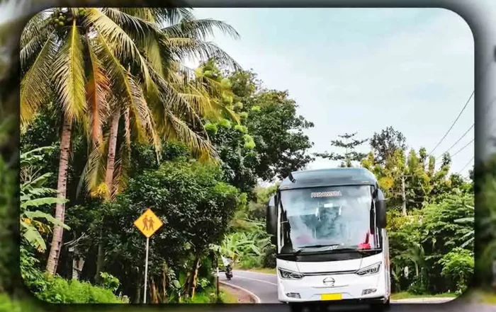 Memilihan Tipe Bus yang Paling Aman dan Andal untuk Rute Pegunungan Bogor