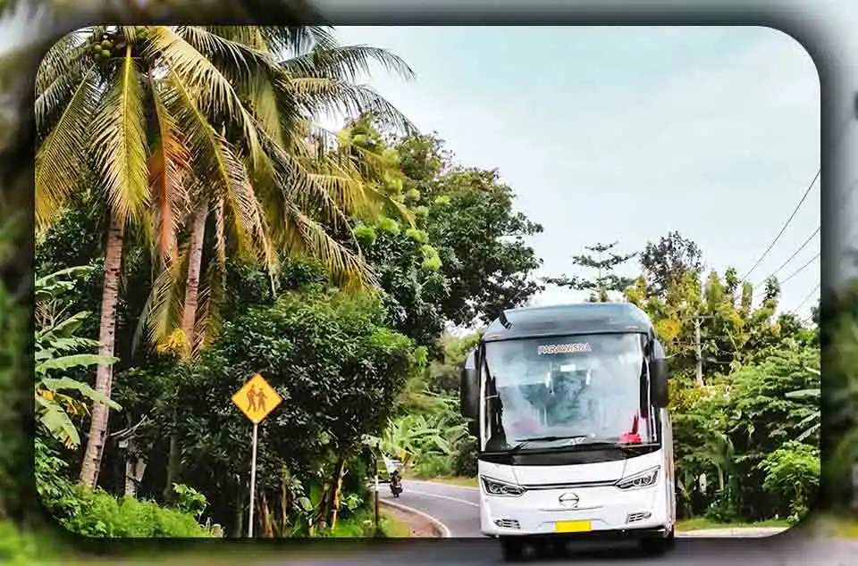 tips memilih bus untuk medan pegunungan Memilihan Tipe Bus yang Paling Aman dan Andal untuk Rute Pegunungan Bogor