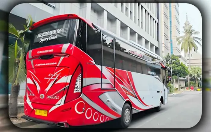 Panduan Membandingkan Harga Sewa Tipe Medium dan Big Bus untuk Rombongan di Depok
