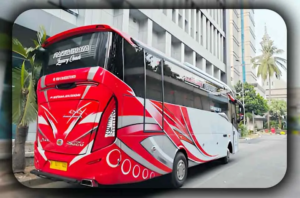 Panduan Membandingkan Harga Sewa Tipe Medium dan Big Bus untuk Rombongan di Depok