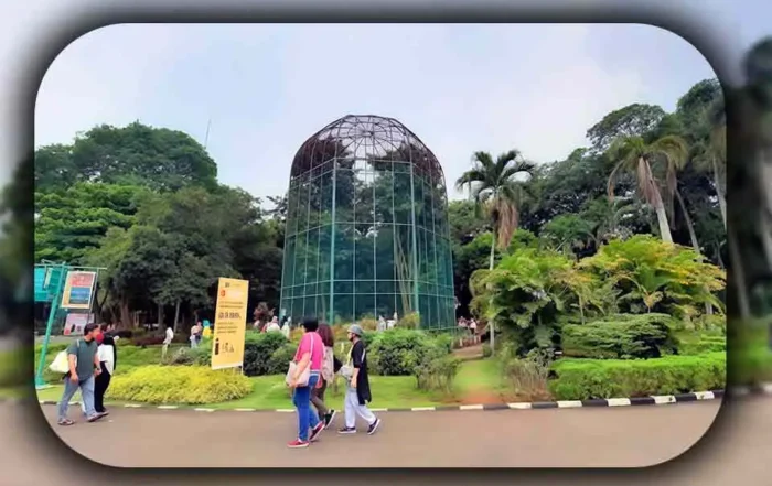 Panduan Wisata ke Ragunan untuk Keluarga Kecil