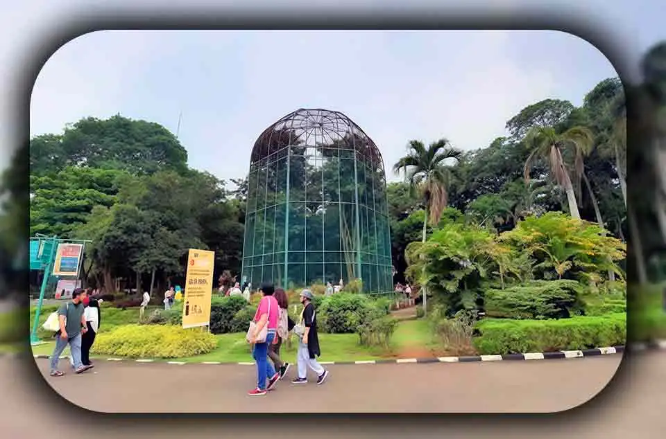 Panduan Wisata ke Ragunan untuk Keluarga Kecil